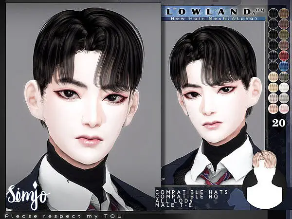 Male Hairstyle Lowland A ~ The Sims Resource for Sims 4